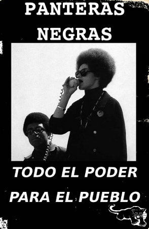 Panteras negras