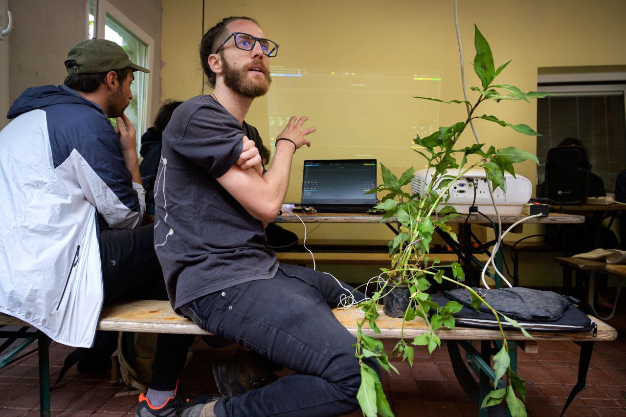 PIFcamp: campamento de arte, naturaleza y tecnología