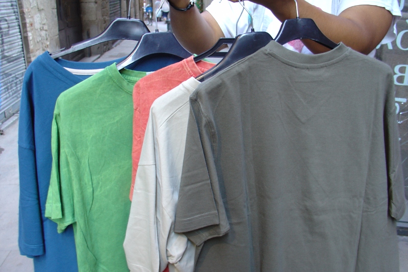 Imagen:2010 colores camis chico.jpg