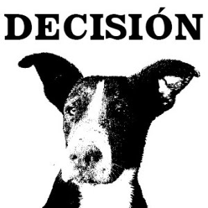 DECISION